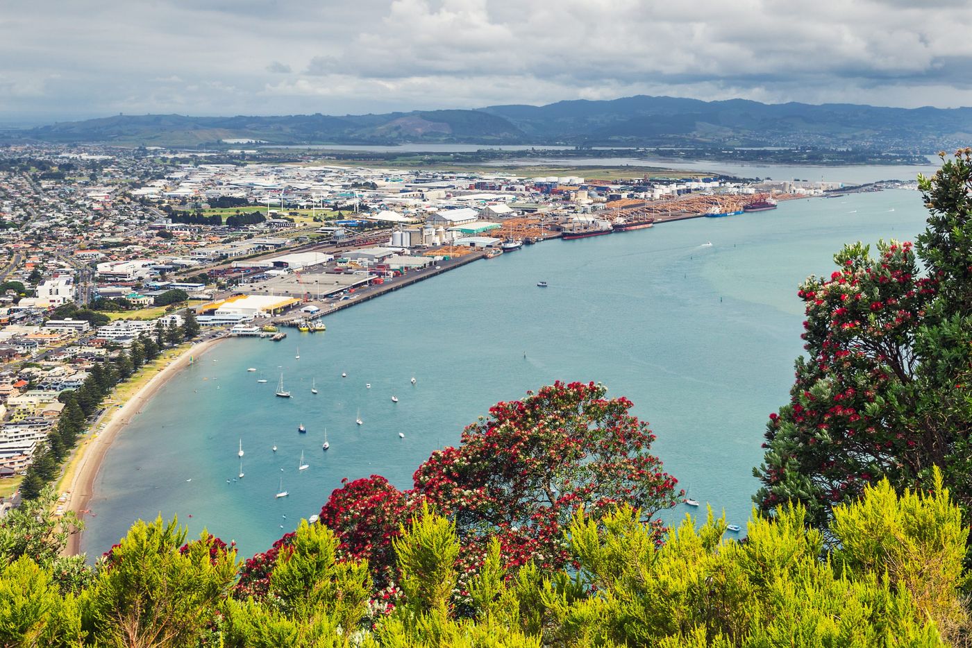 View of Tauranga sea port from Mount Maunganui