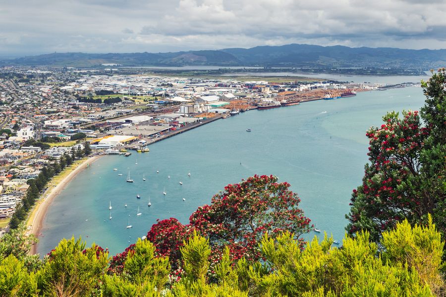 View of Tauranga sea port from Mount Maunganui