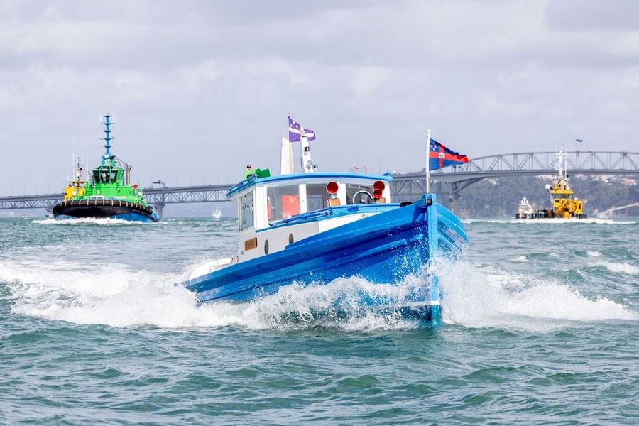 2024 Auckland Anniversary Day Tug Boat Regatta : Live Sail Die