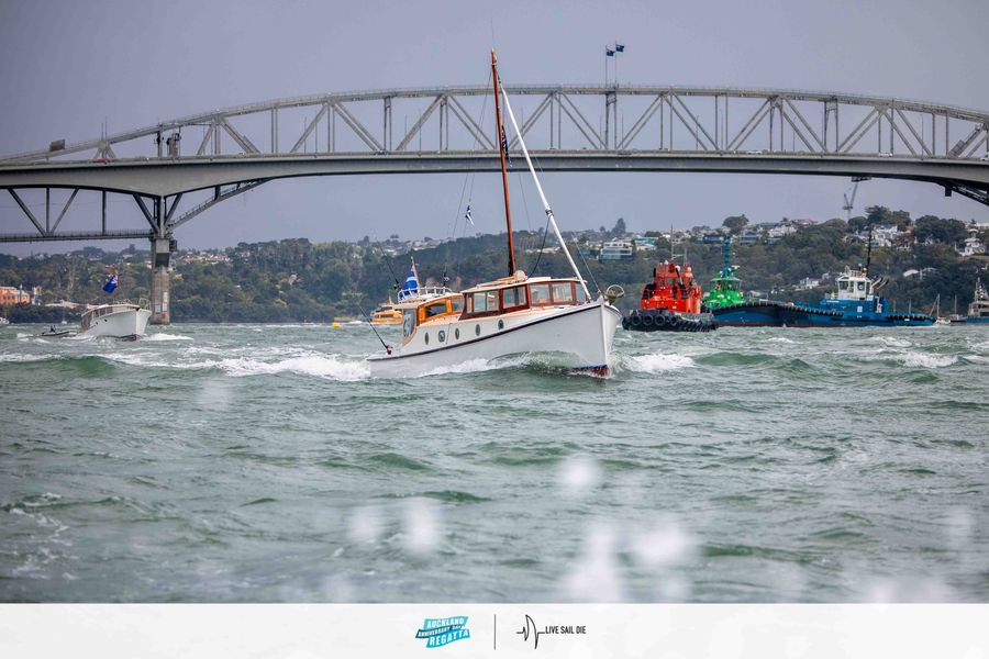 2026-Classic-Launches-Division-Auckland-Anniversary-Day-Regatta-5.jpg