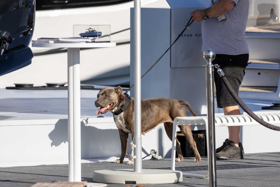 25th Auckland Boat Show draws 1,200 sea trials and 235 boats to Viaduct, 09 March 2026
