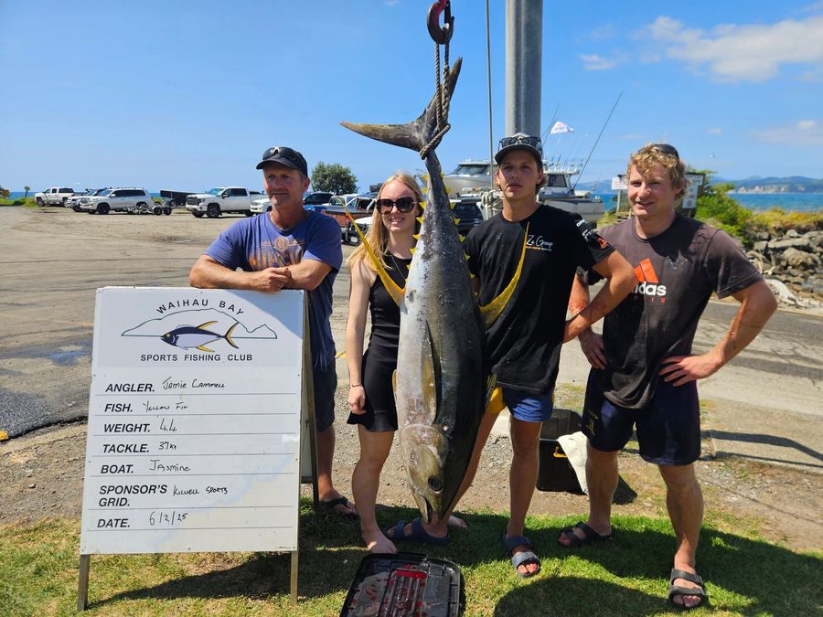 37kg Yellow Fin Tuna caught at the White Pointer boats 30th Anniversary Fishing Competition / White Pointer Boats (Facebook)