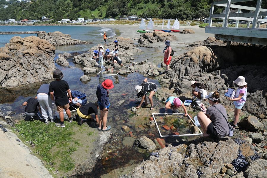 Kiwi sailing education scheme RŪNĀ beats world to top honour, 15 October 2026