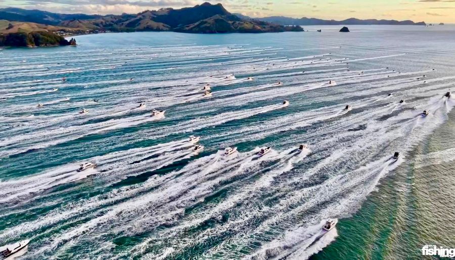 Family's 8m boat beats 400 vessels to land world's biggest fishing prize, 10 June 2026