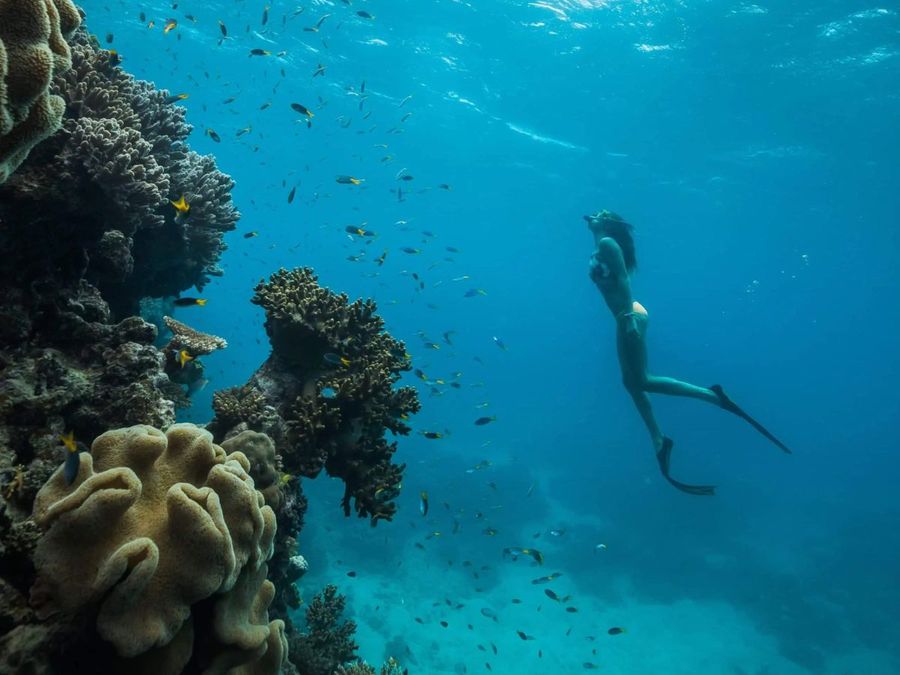 A-natural-wonder-and-visible-from-space-the-Great-Barrier-Reef-offers-some-of-the-most-spectacular-marine-ecosystems-in-the-world.-__-Photo-credit_-Maritimo.jpg