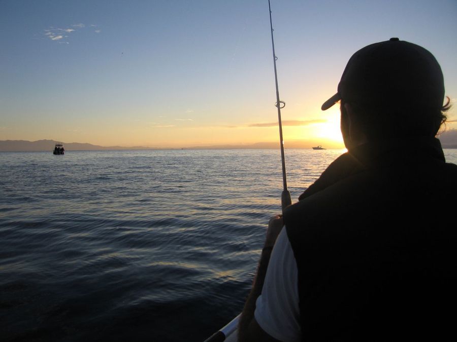 A new vision for NZ’s fisheries – Rescue Fish Ika Rauora