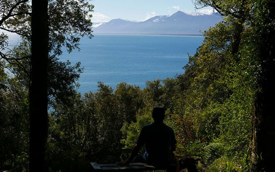 A-view-of-Jackson-Bay-in-South-Westland.-Photo-Kennedy-Warne-.jpeg