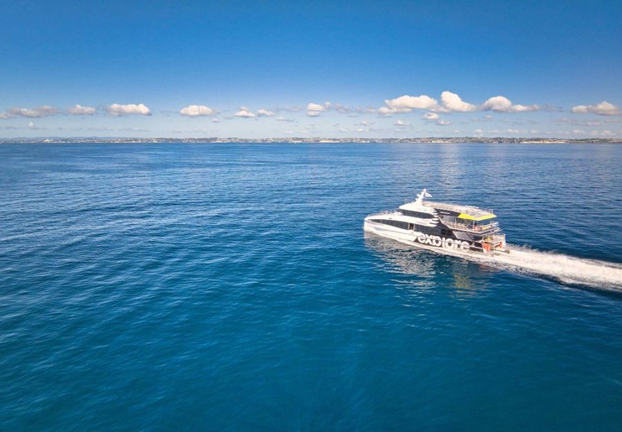 Auckland-Coromandel ferry returns with daily summer service