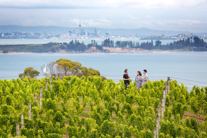 Auckland-City-as-seen-from-a-vineyard-on-Waiheke-Island-courtesy-Tourism-New-Zealand-MilesHolden-web-Small.jpg