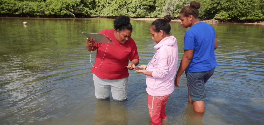 A team examines marine life in Tonga’s coastal waters. The grant will help bring field observations and other ocean data into the decisions that shape marine management.
