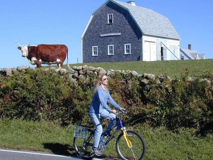 Bicycling-on-Block-Island-__-Photo-credit_-Maritimo.jpg