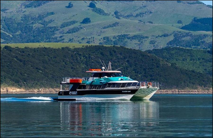 Black Cat, afloat