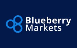 Blueberry-Market.jpg