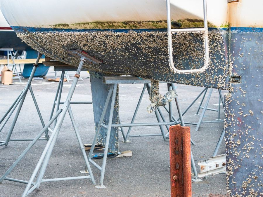 New Zealand’s marina operators warn of rapid barnacle growth and call for urgent access to safer, more effective antifoul products.