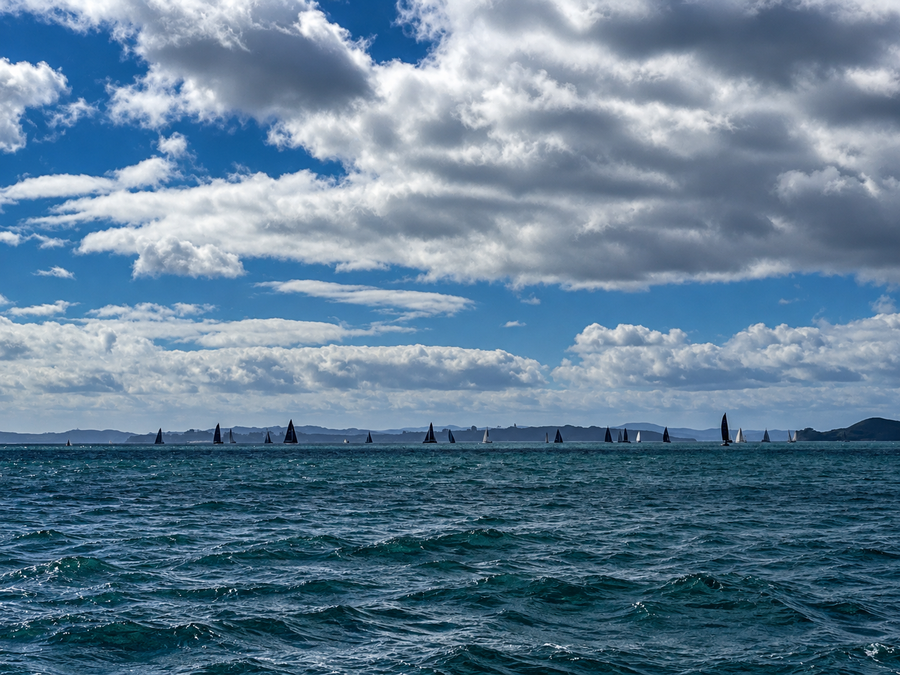 The fleet line up at the start of the 2026 Spring Regatta
