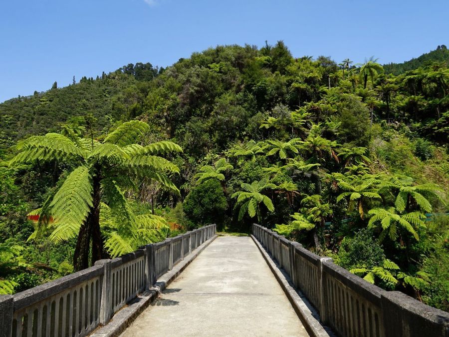 Bridge to Nowhere
