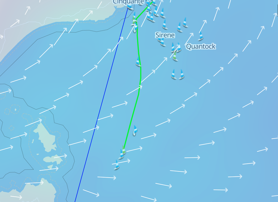Image from race tracker. Green line marks Caro's path in race.