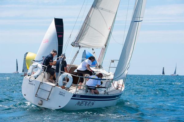 Cees Romeyn will sail Nexus at Bay of Islands Sailing Week for the 22nd time in 2025 - photo 2023 © Lissa Photography
