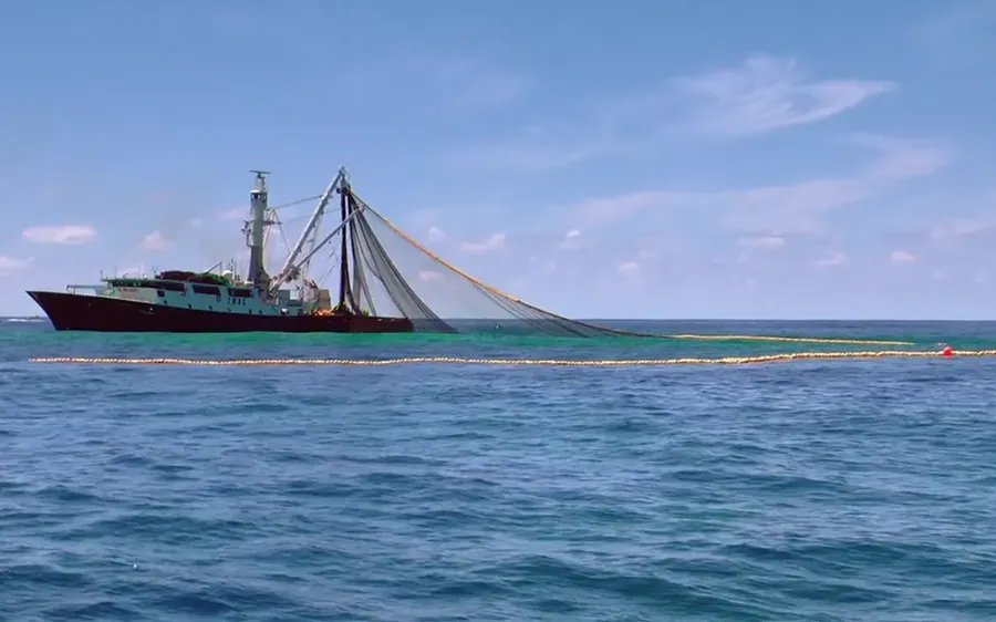 Commercial-fishing-in-the-Hauraki-Gulf-Photo-Simon-Mark-Brown-RNZ.webp