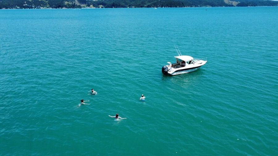 No boat, no problem: Kiwis share their way onto the Gulf, 27 October 2026