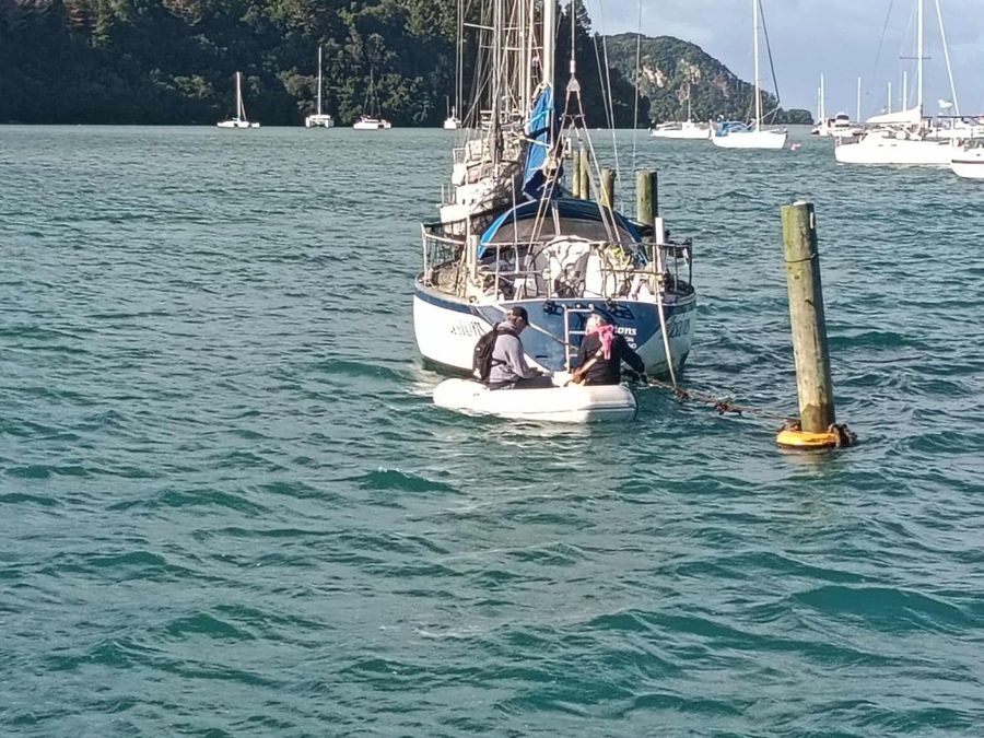 Don’t Get Caught Out: A tender tale