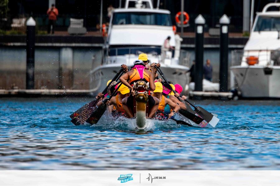Dragon-Boats-at-the-Auckland-Anniversary-Day-Regatta.jpg