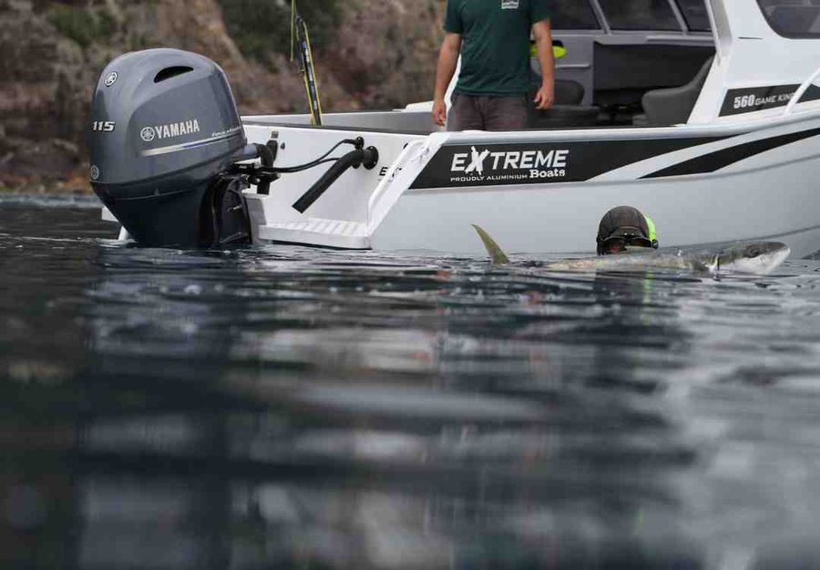 Extreme Boats 560 Hard Top _ 3. Image_ @Extreme Boats on Facebook