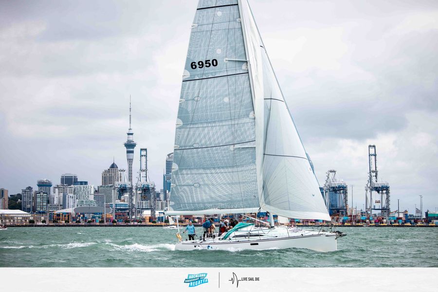 Flojo-2026-Auckland-Anniversary-Day-Regatta.jpg