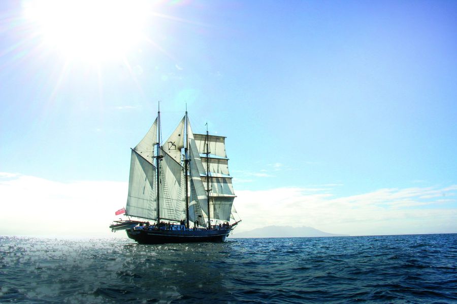 Full sail. Spirit of NZ_fade1