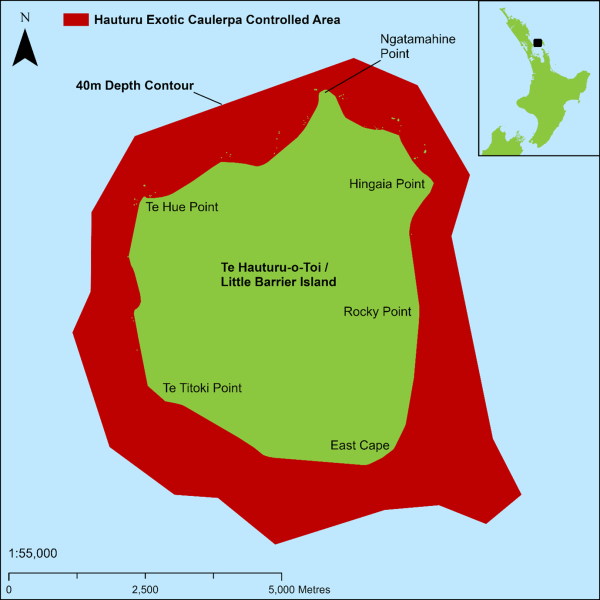 Hauturu-Little-Barrier-Island-map__ResizedImageWzYwMCw2MDBd