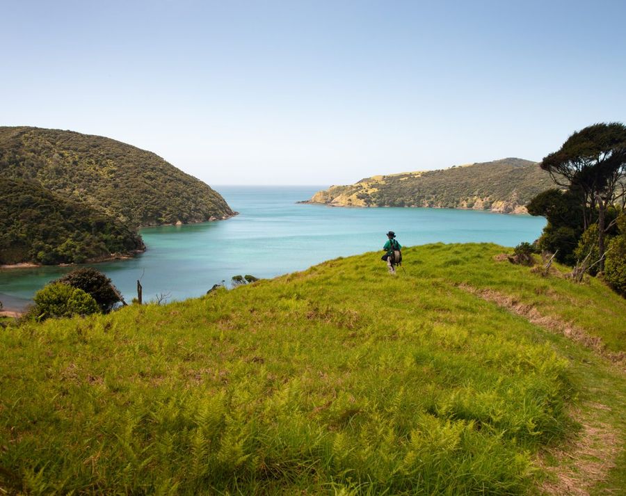 Hiking-Whangamumu-track-with-the-view-of-Whangamumu-harbour-Russell-Bay-of-Island-Photo-credit-Janice-Chen.jpg