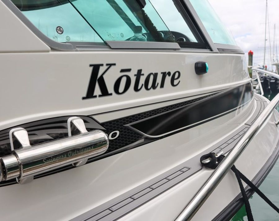 Kotare.jpg