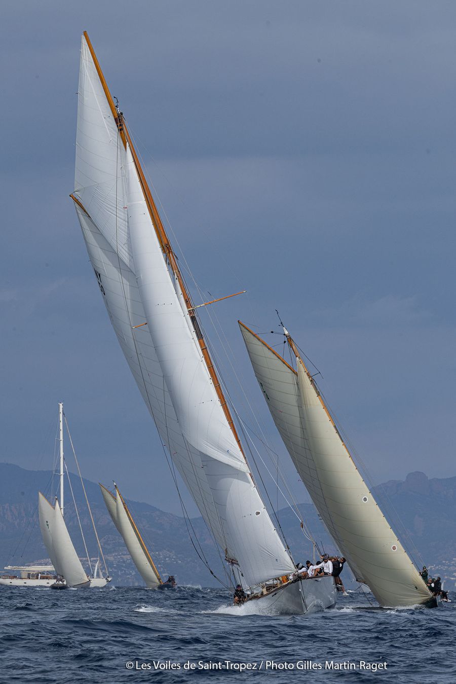 LVdST-D4-5.jpg