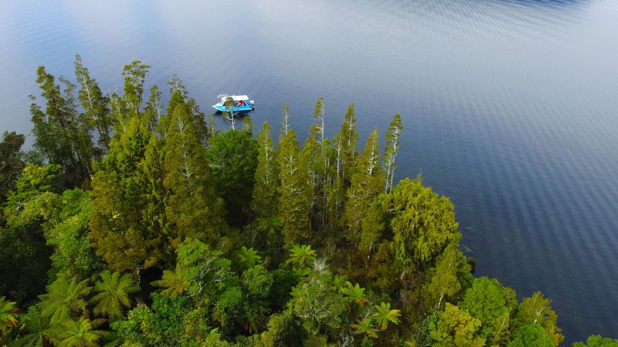 Lake-Brunner-credit-West-Coast-New-Zealand.jpg