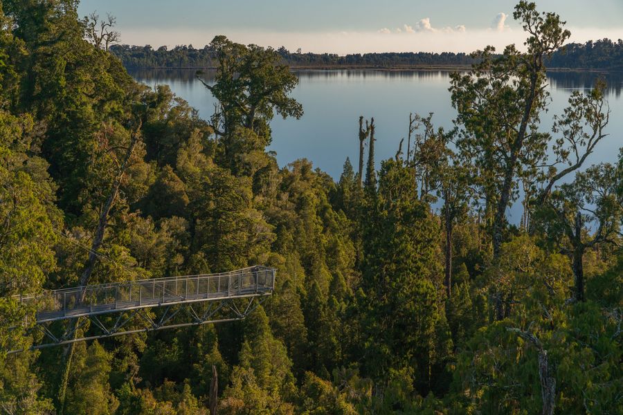 Lake-Mahinapua-from-the-West-Coast-Treetop-Walkwaycredit-West-Coast-Treetop-Walk-and-Zipline.jpg