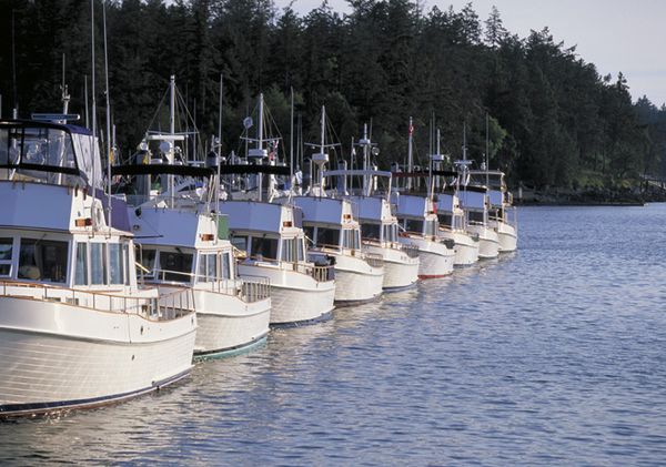 Line-up-of-old-boats.jpg