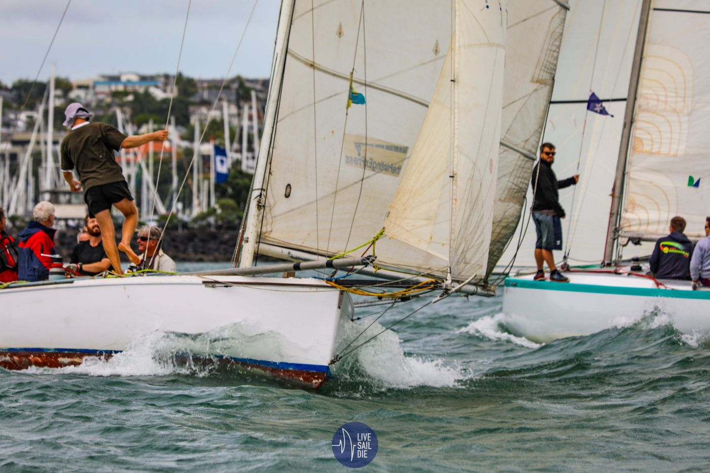 Lipton-Cup-2019-Lipton-Cup-Saturday-30th-March-image-c-Rachel-von-Zalinski-Live-Sail-Die.jpg