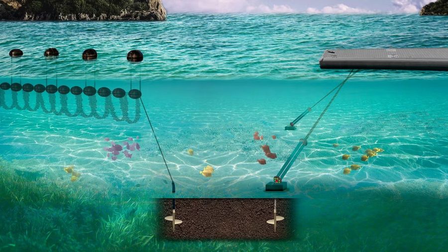 Marine-Flex-is-one-of-the-most-advanced-mooring-systems-invented-in-New-Zealand-for-the-world-market.-.jpeg