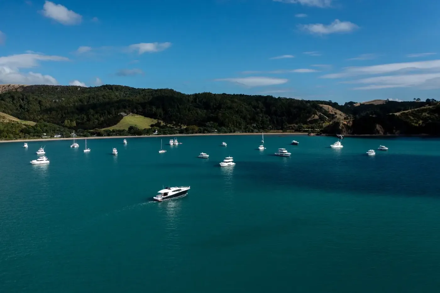 Maritimo-Muster-NZ-Website-Website-landscape-content-6.webp