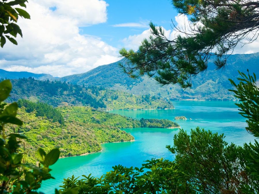 Marlborough Sounds. // Photo credits: Duncan Bay Community and @bradenmoleta