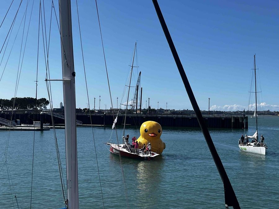 Massive-blow-up-Duck-Norris-as-a-centre-point-of-Jellicoe-Harbour-for-this-event.jpg