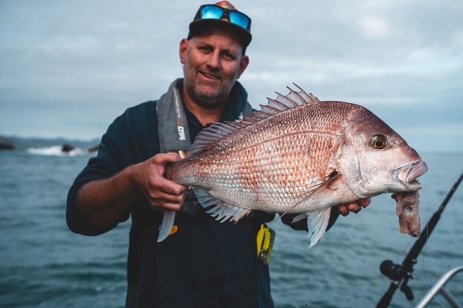 NZ-Bait-Masters-Daiwa-New-Zealand.jpg
