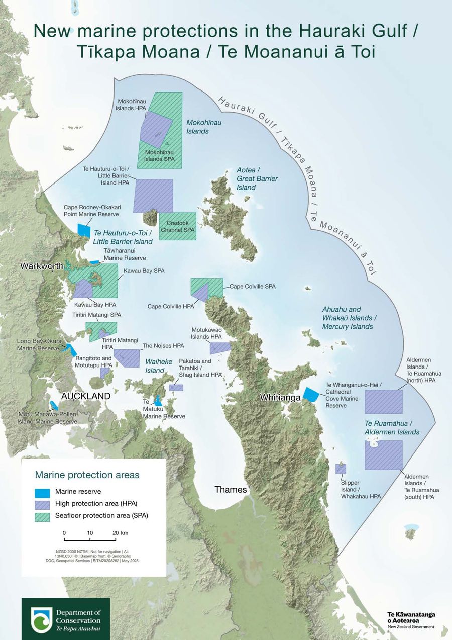New-marine-protections-in-the-Hauraki-Gulf.jpeg