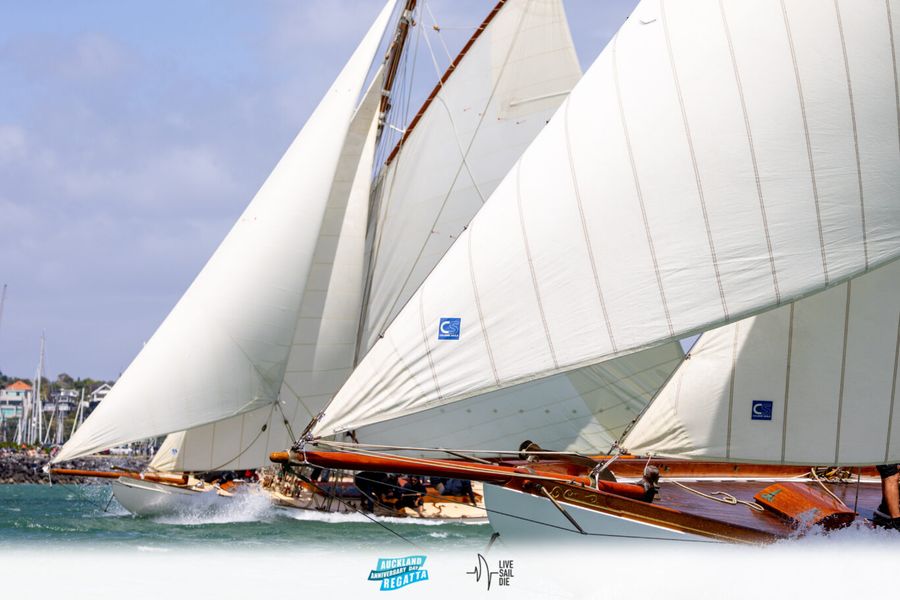 2025 Auckland Anniversary Regatta