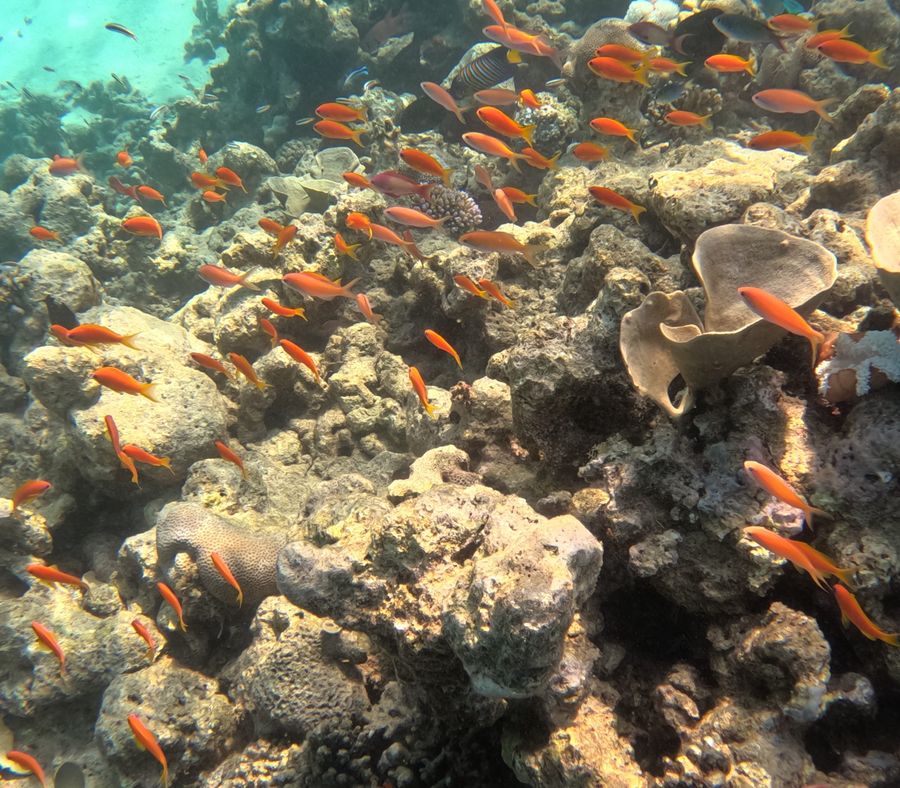 DCIM100GOPROGOPR6045.JPG