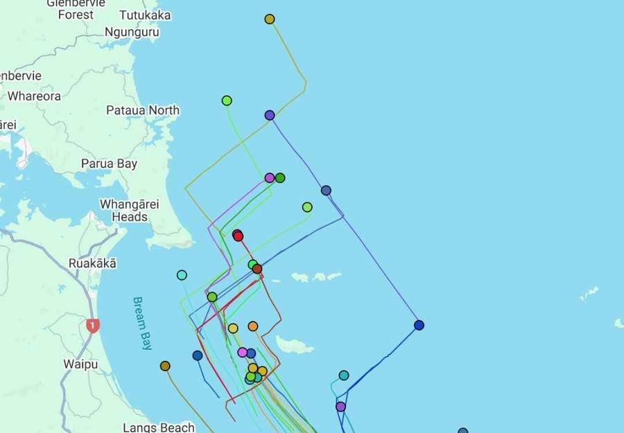 PIC Coastal Classic position of boats as of posting. Credit httpsforecast.predictwind.com via PIC Coastal Classic