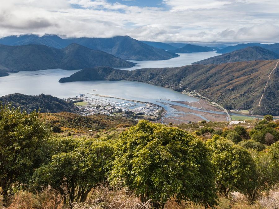 Pelorus-Sound.jpg