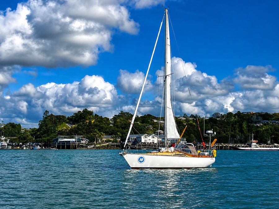 Peter-Bourke-and-Diablo-at-the-start-of-the-2026-Solo-Trans-Tasman-Yacht-Challenge-Photo-credit-Kirsten-Thomas.jpg