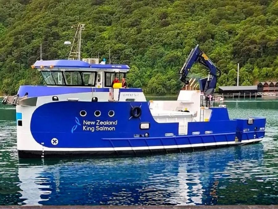 Photo-credit-Baird-Maritime-Facebook.jpg