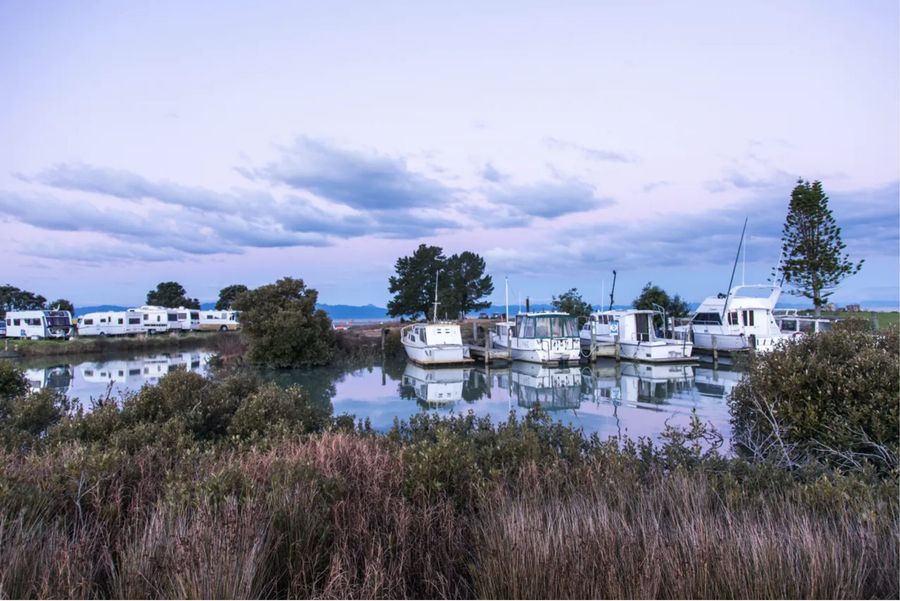 Photo-credit-Destination-Hauraki-Coromandel-Trust.jpg